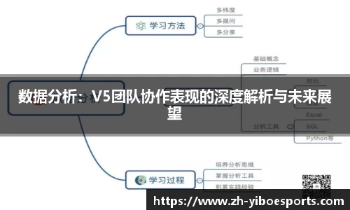 数据分析：V5团队协作表现的深度解析与未来展望